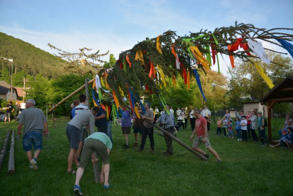 DSC_8359.jpg DSC_8359.jpg