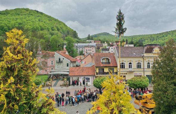 20.jpg 20.jpg